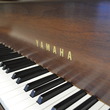 1993 Yamaha C3 Grand Piano - Grand Pianos